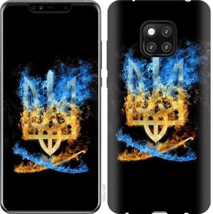 

Чехол Герб для Huawei Mate 20 Pro 667826