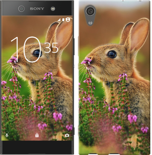 

Чехол Кролик и цветы для Sony Xperia XA1 468454
