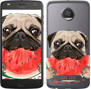 

Чехол Мопс и арбуз для Motorola Moto Z2 Play 843935