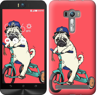 

Чохол Мопс на велосипеді на Asus ZenFone Selfie ZD551KL 87840