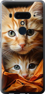 

Чехол Котики 2 для HTC U12 Plus 1648158