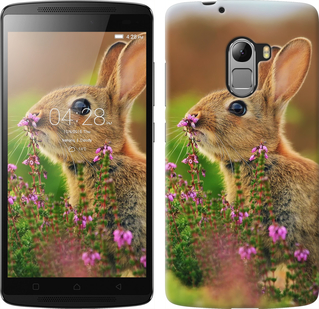 

Чехол Кролик и цветы для Lenovo A7010 149956