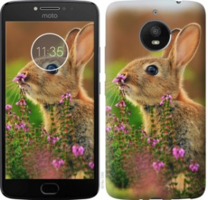 Чехол Кролик и цветы для Motorola Moto G7 Power