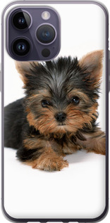 Чехол Щенок йоркширского терьера для iPhone 14 Pro Max