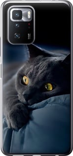 Чехол Дымчатый кот для Xiaomi Redmi Note 10 Pro 5G