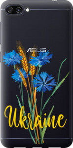 Чохол Ukraine v2 на Asus ZenFone 4 Max ZC520KL