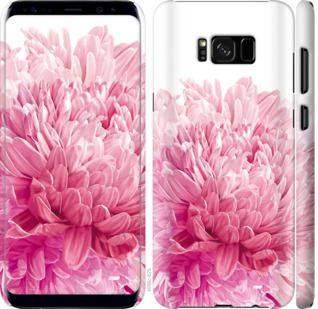 

Чехол Хризантема для Samsung Galaxy S8 844093