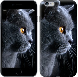 Чехол Красивый кот для iPhone 6 plus (5.5'')