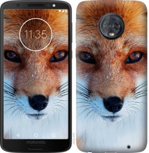

Чехол Рыжая лисица для Motorola Moto G6 Plus 764018