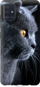 Чехол Красивый кот для Samsung Galaxy M31s M317F