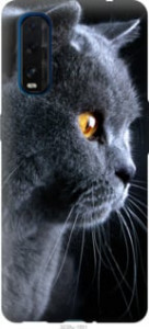 Чехол Красивый кот для Oppo Find X2