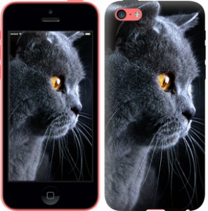 Чехол Красивый кот для iPhone 5c