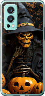 

Чехол Halloween 2 для OnePlus Nord 2 1639753