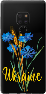 Чехол Ukraine v2 для Huawei Mate 20