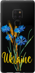 Чехол Ukraine v2 для Huawei Mate 20