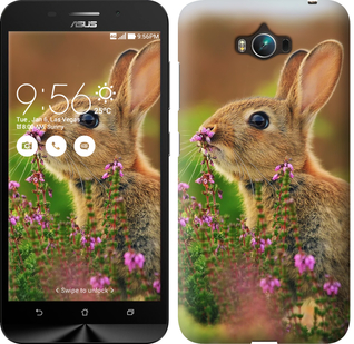 

Чехол Кролик и цветы для Asus ZenFone Max ZC550KL 150151