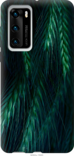 

Чохол Колоски на Huawei P40 942364