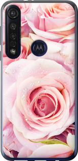 

Чохол Квітучі троянди на Motorola G8 Plus 1603789