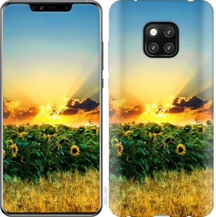 

Чехол Украина для Huawei Mate 20 Pro 675790