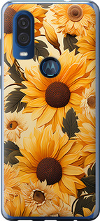 

Чохол Соняшники 2 на Motorola One Vision 1647226