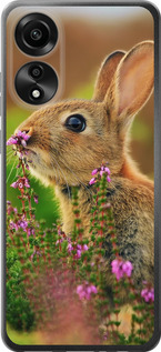 

Чехол Кролик и цветы для Oppo A78 4G 1696193