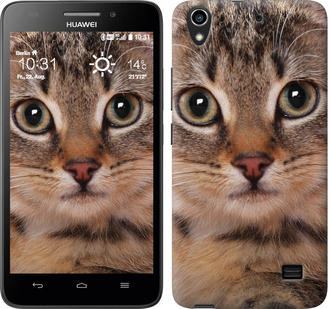 

Чехол Полосатый котик для Huawei Honor 4 Play 175792