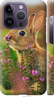 

Чохол Кролик і квіти на iPhone 14 Pro 1481748