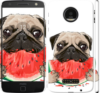 

Чохол Мопс і кавун на Motorola MOTO Z 843934