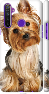 Чохол Йоркширський тер'єр з хвостиком на Realme 6i