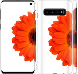 

Чехол Гербера 1 для Samsung Galaxy S10 802310