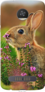 Чехол Кролик и цветы для Motorola Moto Z2 Play