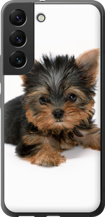Чехол Щенок йоркширского терьера для Samsung Galaxy S22
