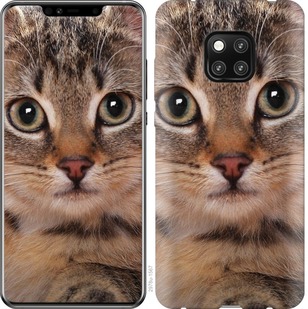 

Чохол Смугастий котик на Huawei Mate 20 Pro 675834