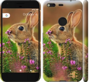 Чехол Кролик и цветы для Google Pixel XL