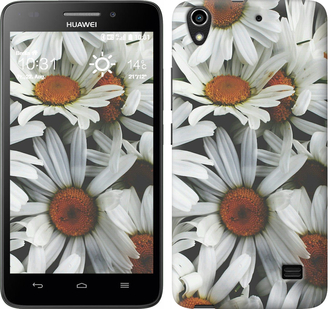 

Чохол Ромашки v2 на Huawei G620S 233582
