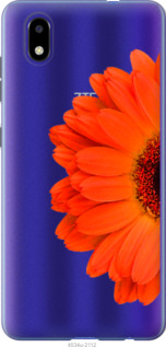 

Чехол Гербера 1 для ZTE Blade A3 2020 1589406