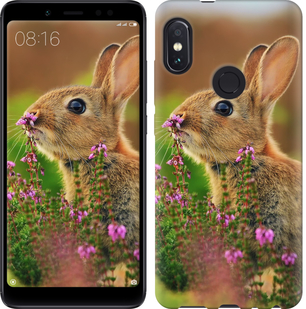 

Чохол Кролик і квіти для Xiaomi Redmi Note 5 (DC) 656660