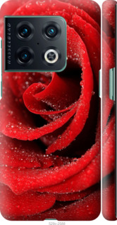 

Чохол Червона троянда на OnePlus 10 Pro 1574194
