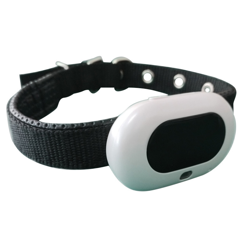 Фото Трекер GPS для животных V41 Pet Tracker SIM (4GLTE+3GWCDMA+2GGSM) 1300mAh (White) на vchehle.ua