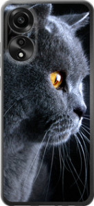Чехол Красивый кот для Oppo A78 4G
