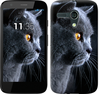 

Чехол Красивый кот для Motorola Moto G 117155
