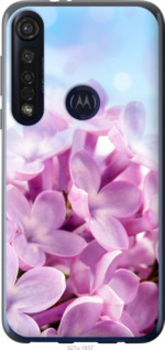 

Чехол Сирень для Motorola G8 Plus 1574738