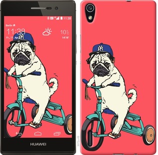 

Чехол Мопс на велосипеде для Huawei Ascend P7 87785