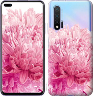 

Чохол Хризантема на Huawei Nova 6 879831