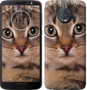 

Чохол Смугастий котик на Motorola Moto G6 Plus 764343