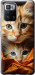 Чехол Котики 2 для Xiaomi Poco X3 GT