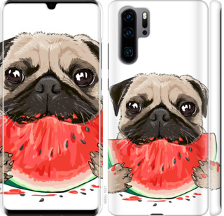 

Чехол Мопс и арбуз для Huawei P30 Pro 843819
