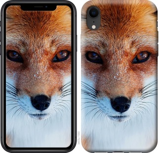 

Чехол Рыжая лисица для iPhone XR 672458