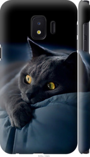 Чохол Димчастий кіт на Samsung Galaxy J2 Core