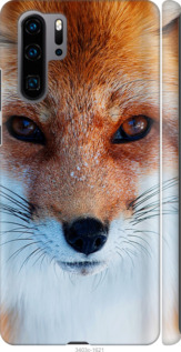 

Чохол Руда лисиця на Huawei P30 Pro 703666